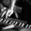 the-black-hollies_ 7